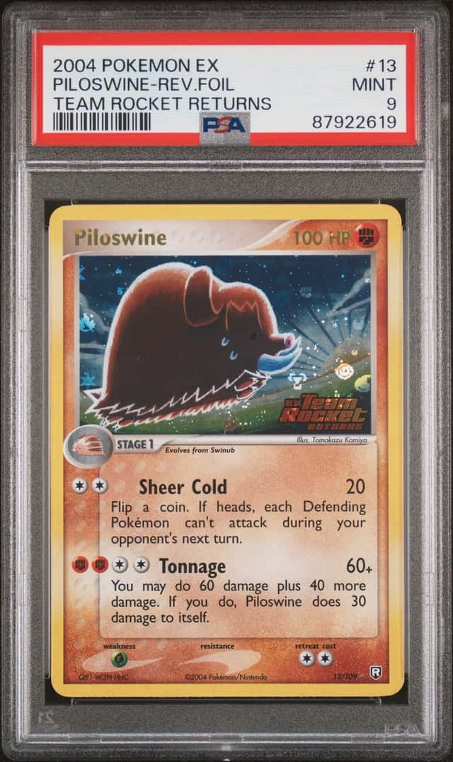 Piloswine