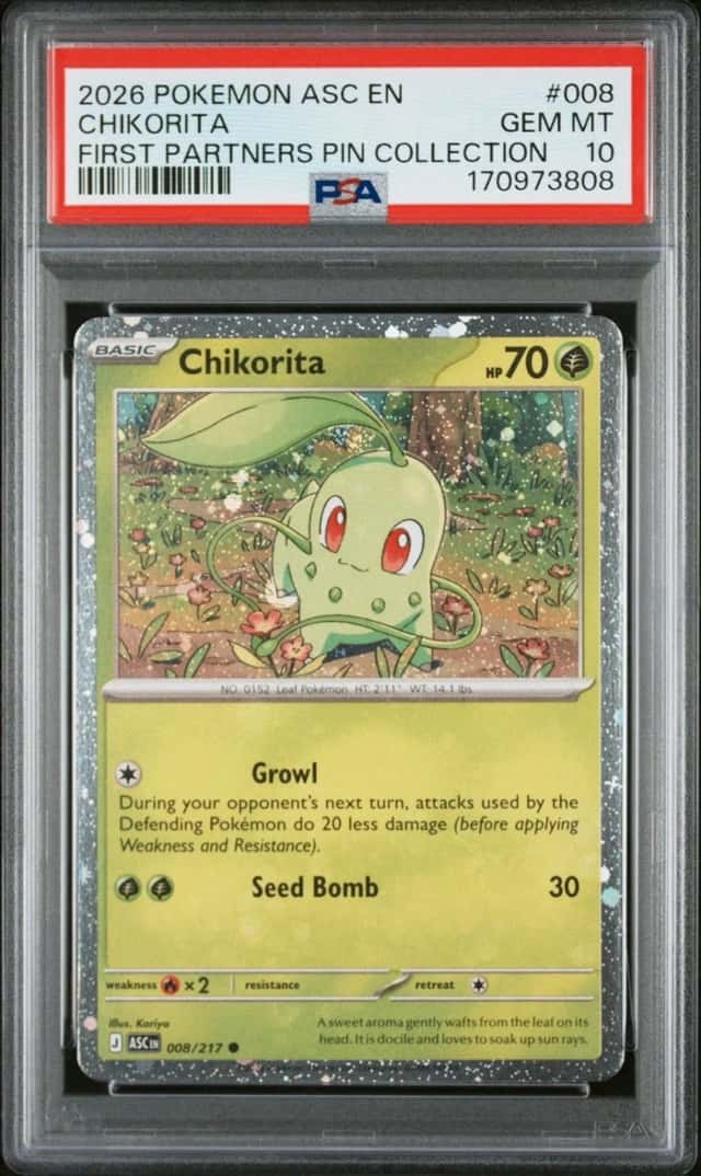 Chikorita