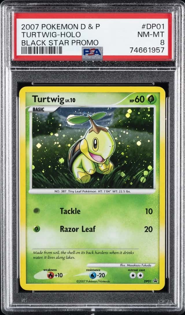 Turtwig