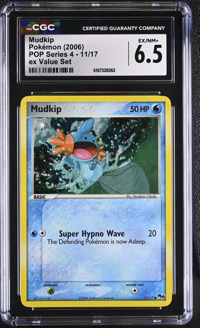 Mudkip