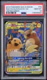 Raichu & Alolan Raichu Gx