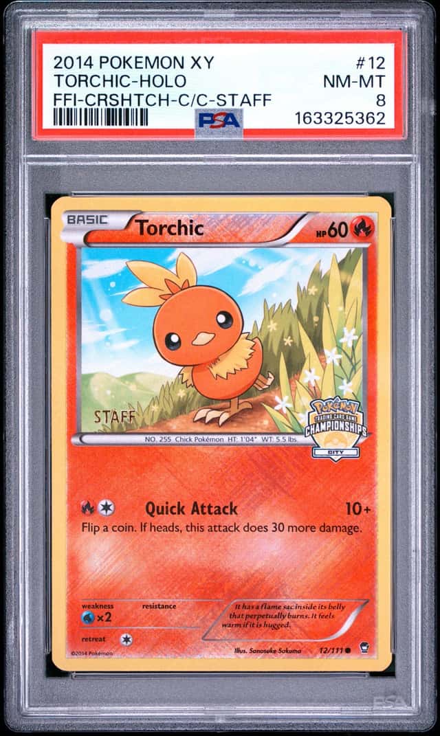 Torchic