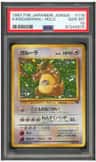Kangaskhan