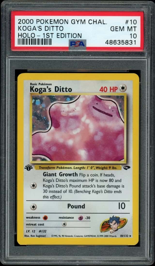 Koga's Ditto
