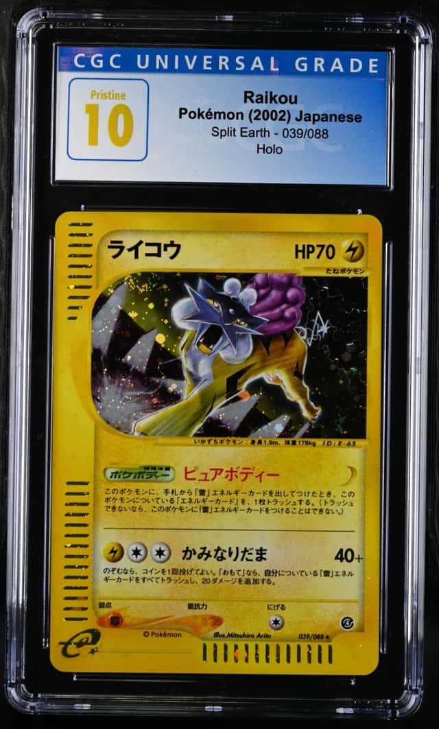 Raikou