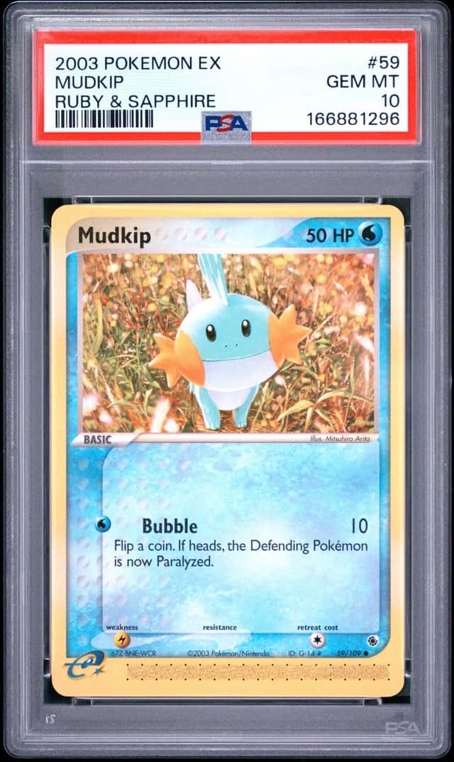 Mudkip