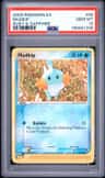 Mudkip