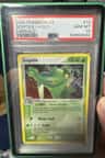 Sceptile