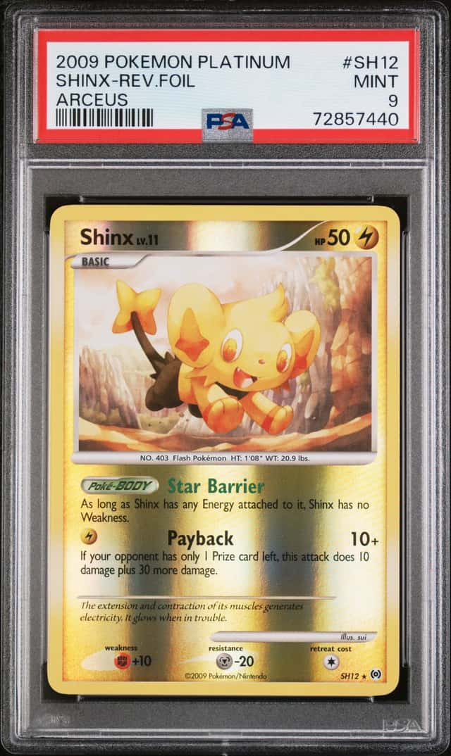 Shinx