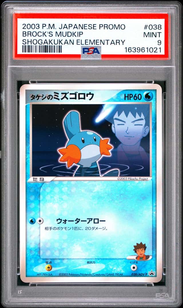 Brock's Mudkip