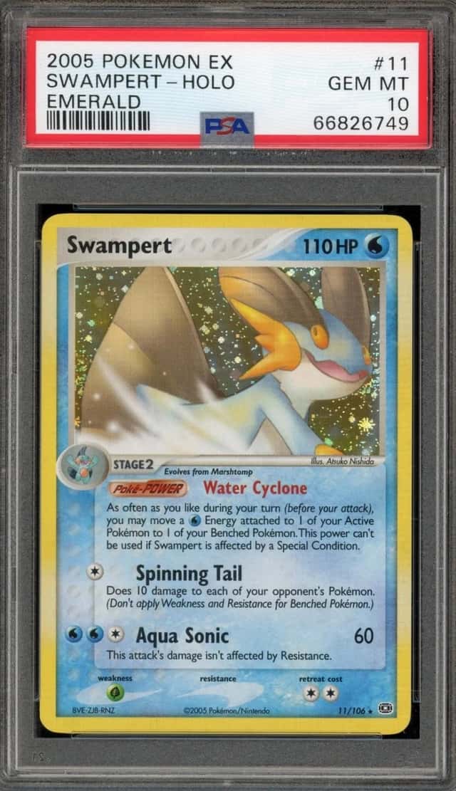 Swampert
