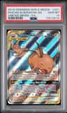 Raichu & Alolan Raichu Gx