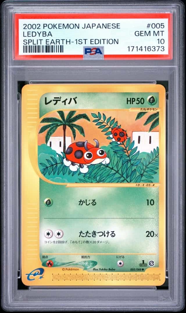 Ledyba