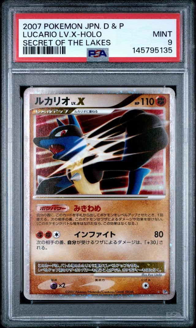 Lucario Lv X