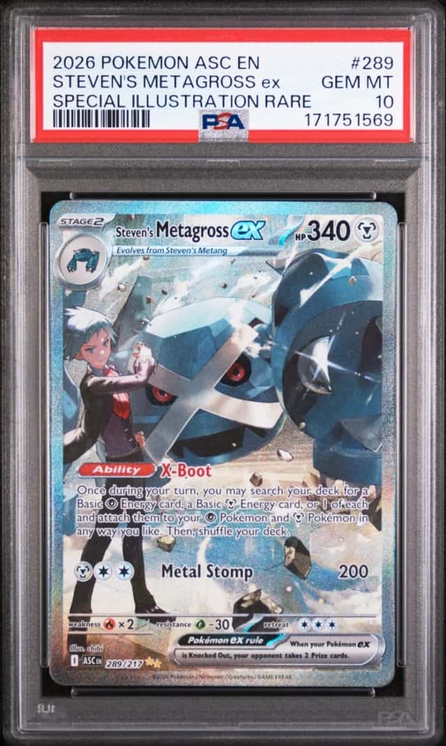 STEVEN'S METAGROSS ex