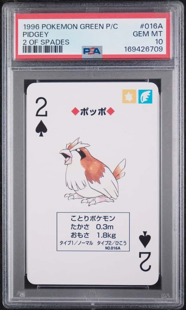 Pidgey