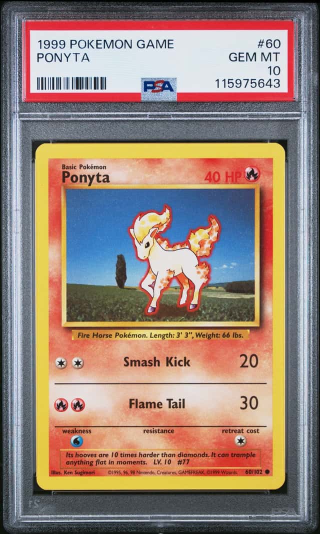 Ponyta