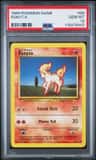 Ponyta