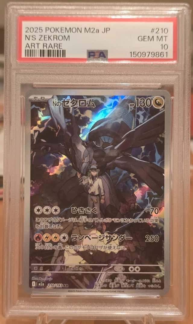 N's Zekrom