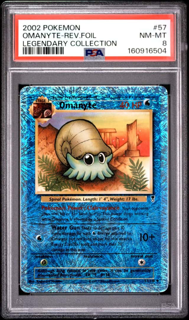 Omanyte