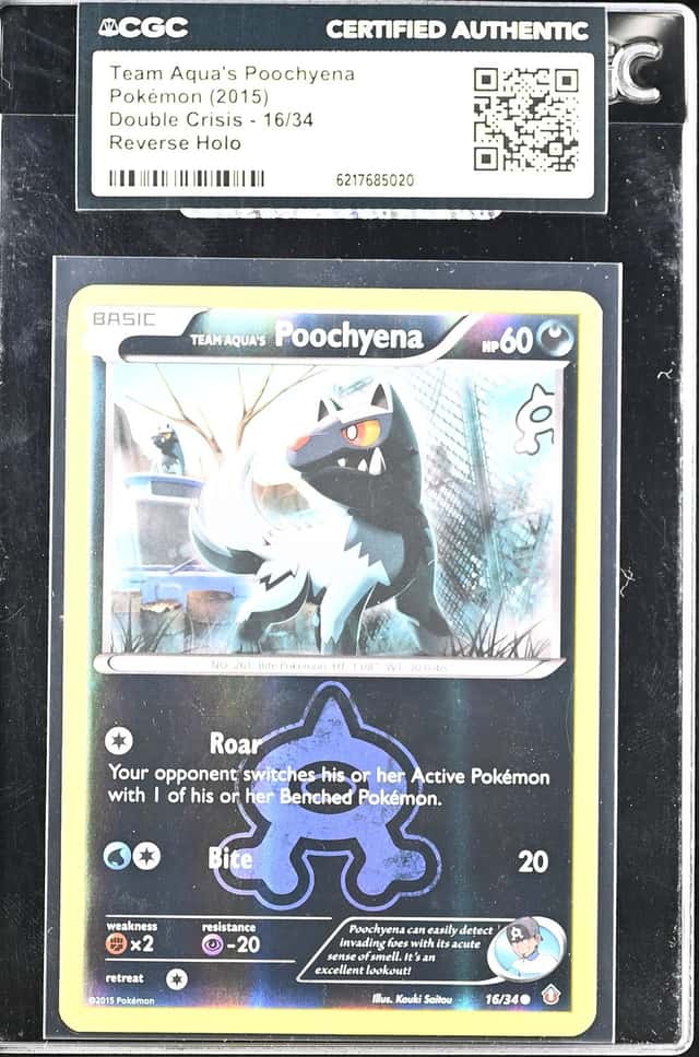 Team Aqua's Poochyena
