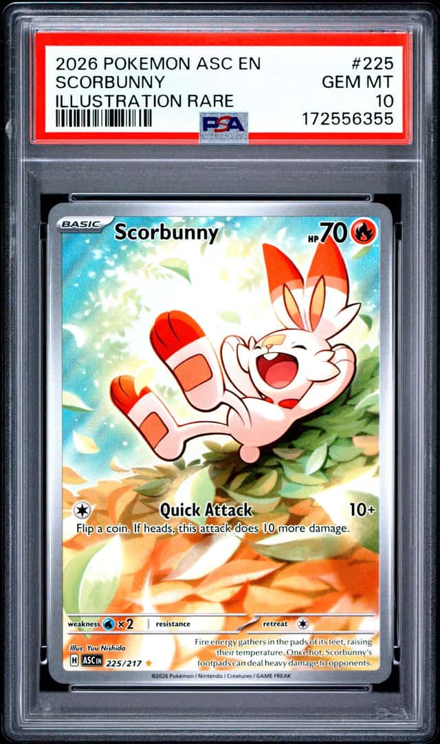 Scorbunny