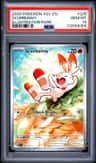 Scorbunny