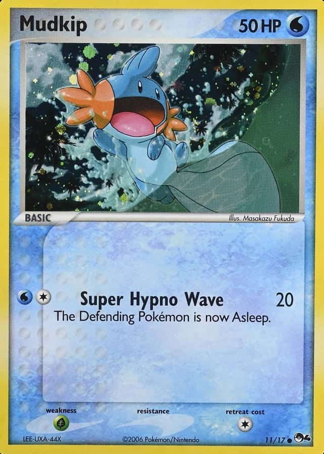 Holo