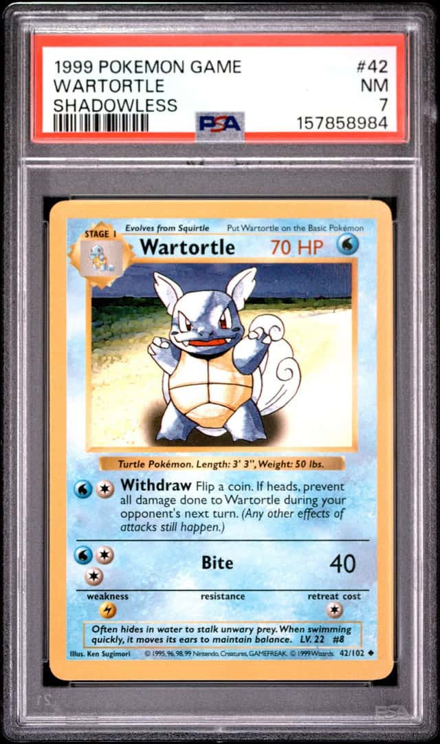 Wartortle