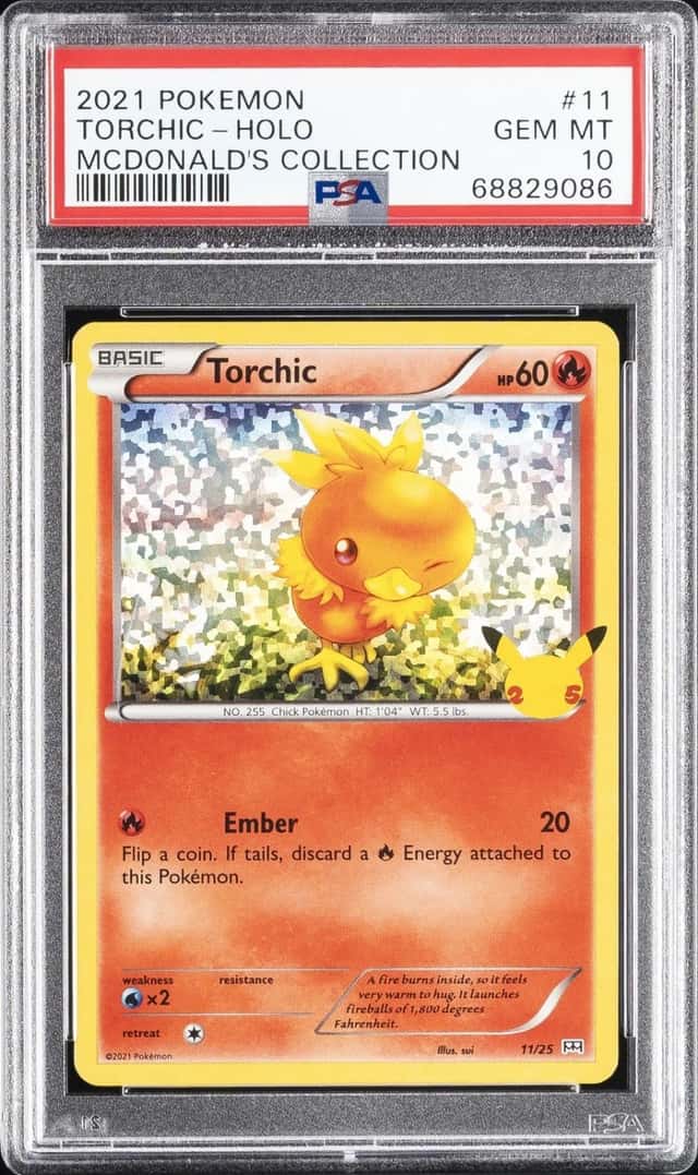 Torchic