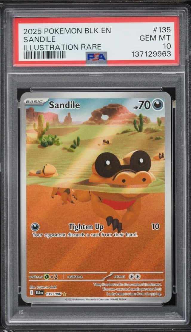 Sandile