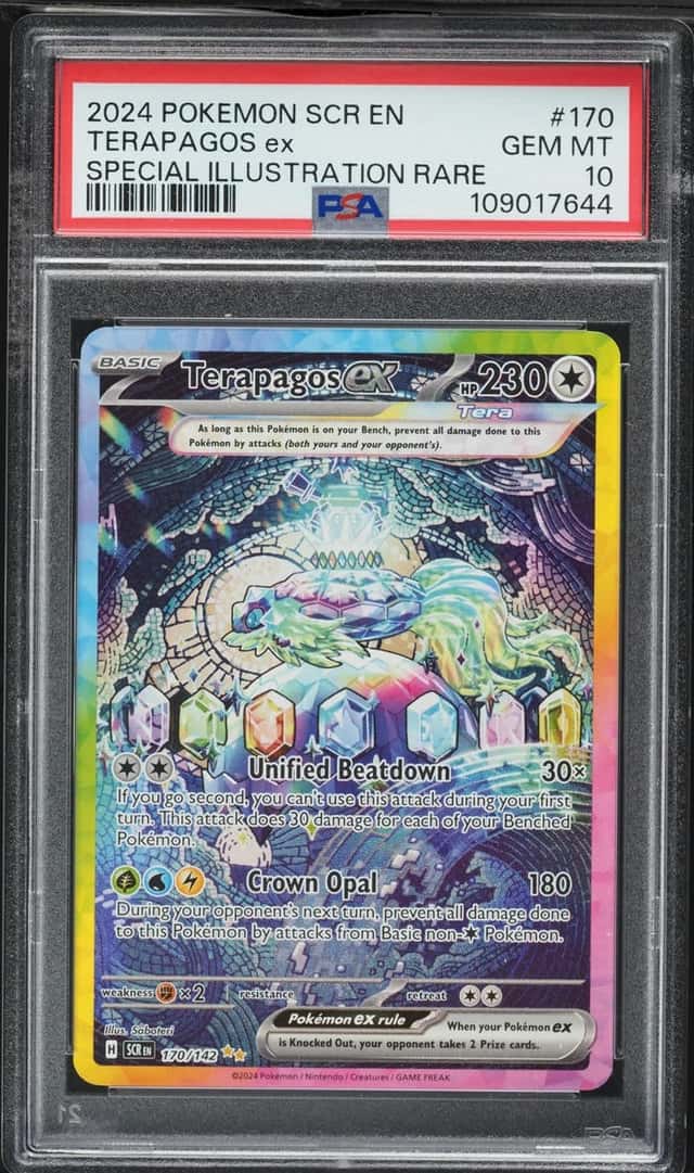 TERAPAGOS ex
