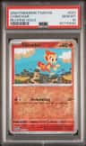 Chimchar