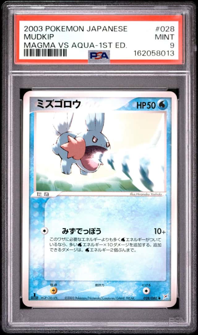 Mudkip