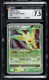 Leafeon Lv X