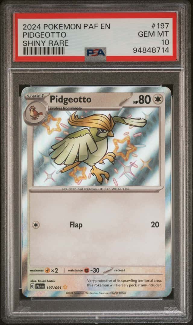 Pidgeotto