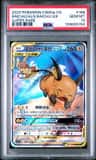 Raichu/aln.raichu Gx
