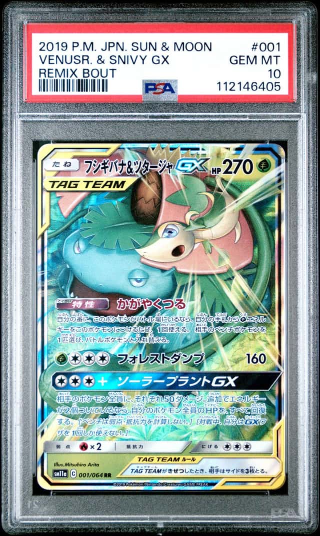 Venusaur & Snivy GX