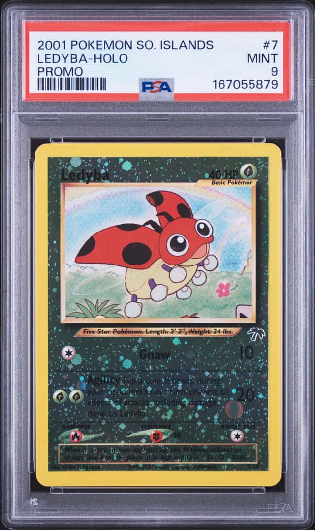 Ledyba