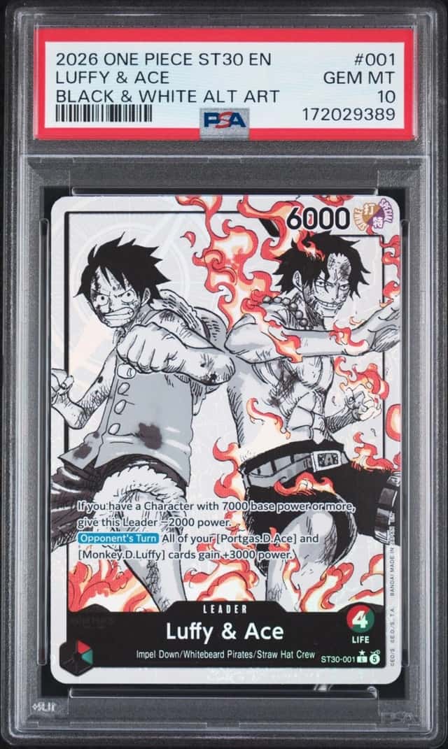 Luffy & Ace