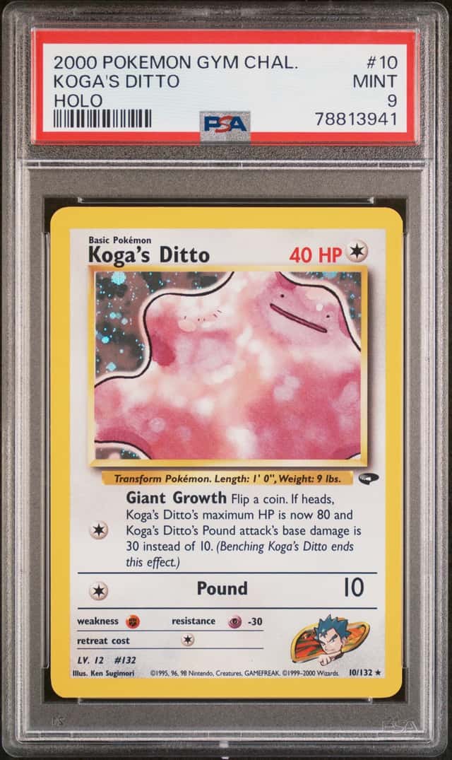 Koga's Ditto