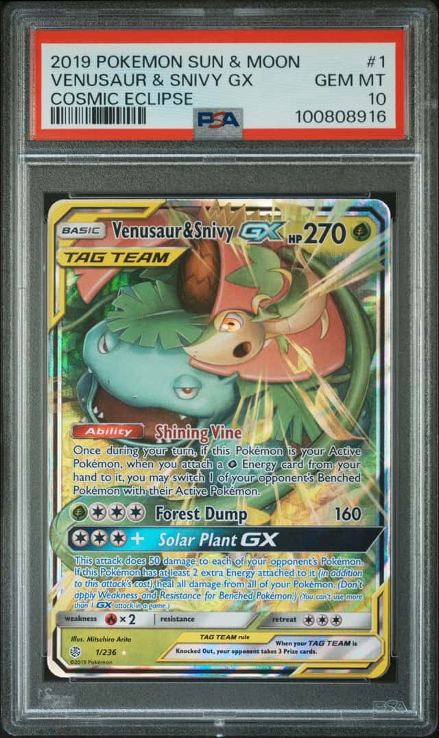 Venusaur & Snivy GX