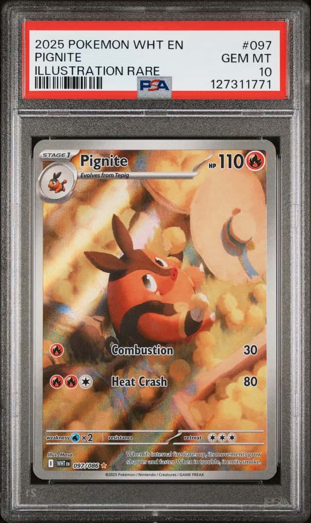 Pignite