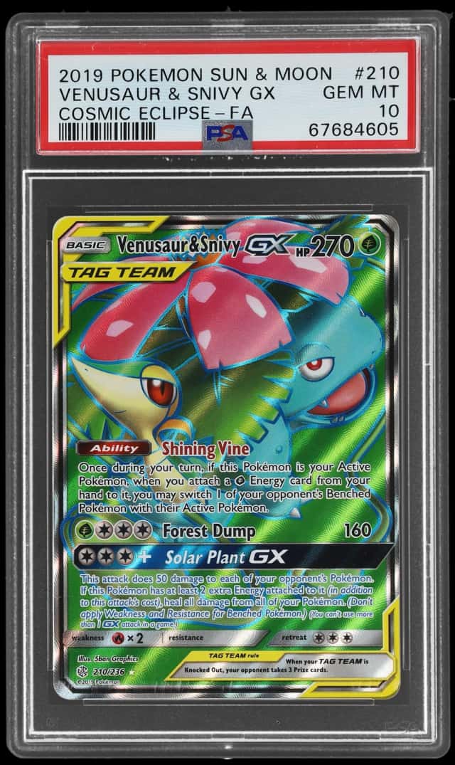 Venusaur & Snivy GX