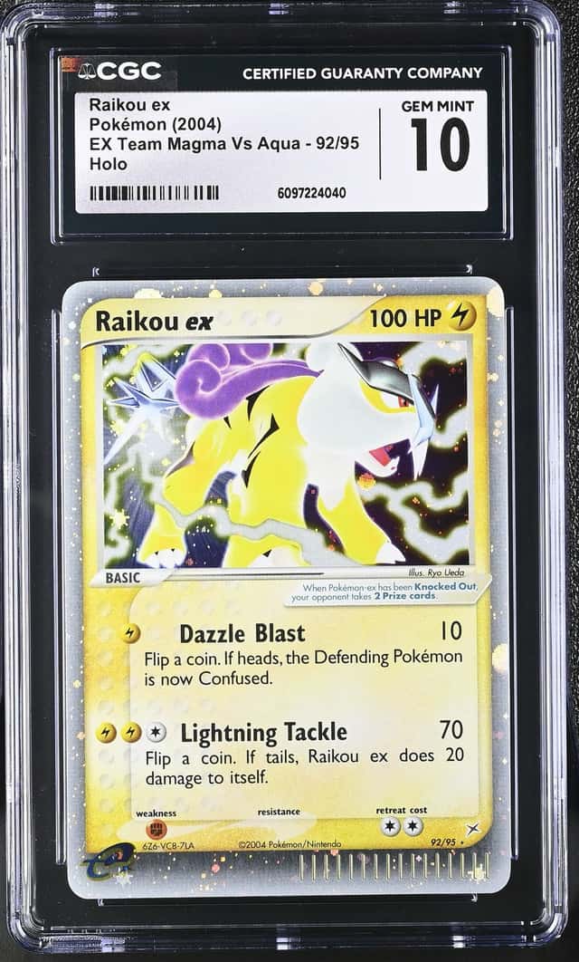 Raikou EX