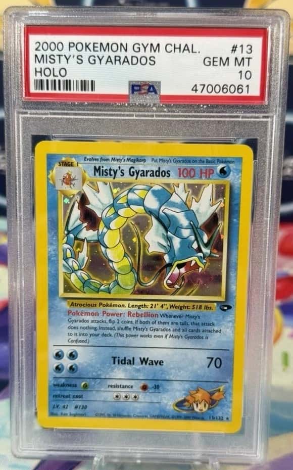 Misty's Gyarados