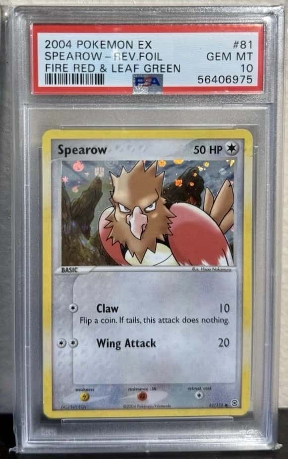 Spearow