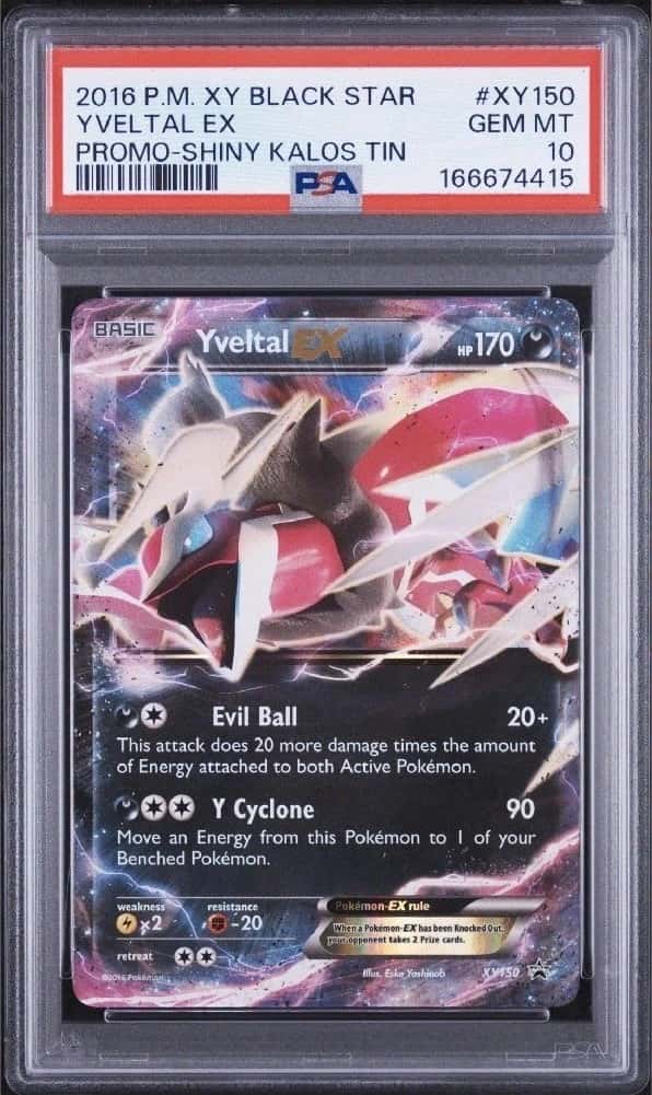 Yveltal EX