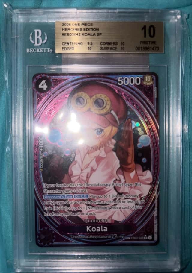 Koala