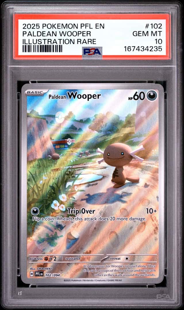 Paldean Wooper